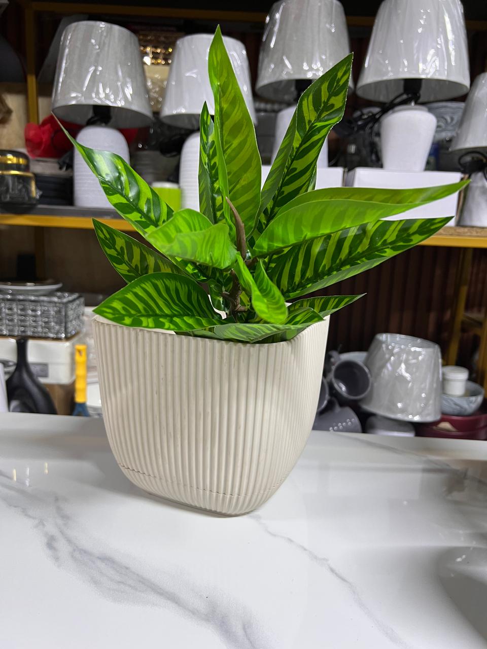 Coral square Planter (pot4ltr) + plant